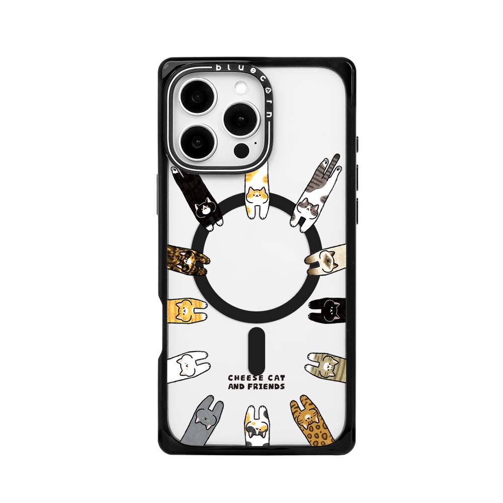 Cheese Cat and Friends