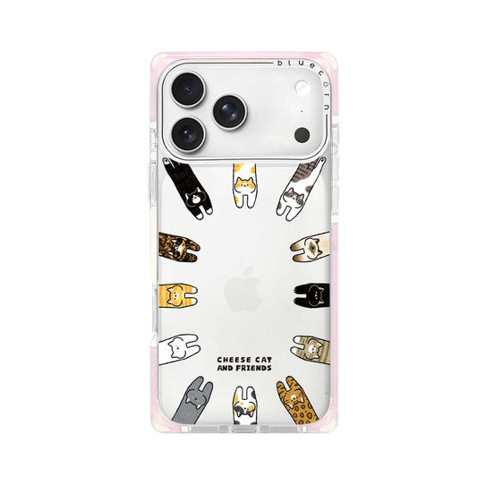 Cheese Cat and Friends