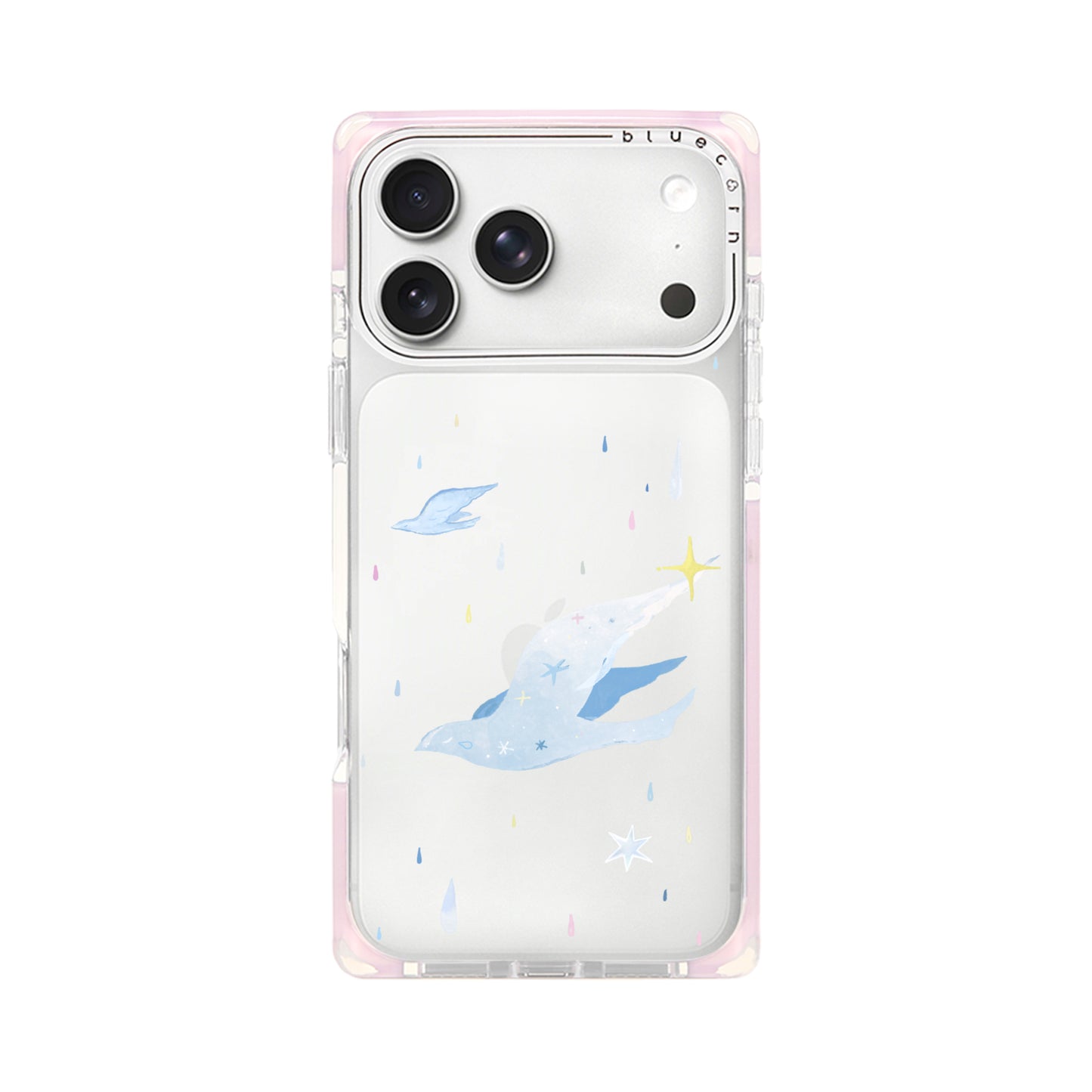 White Dove on Rainy Days