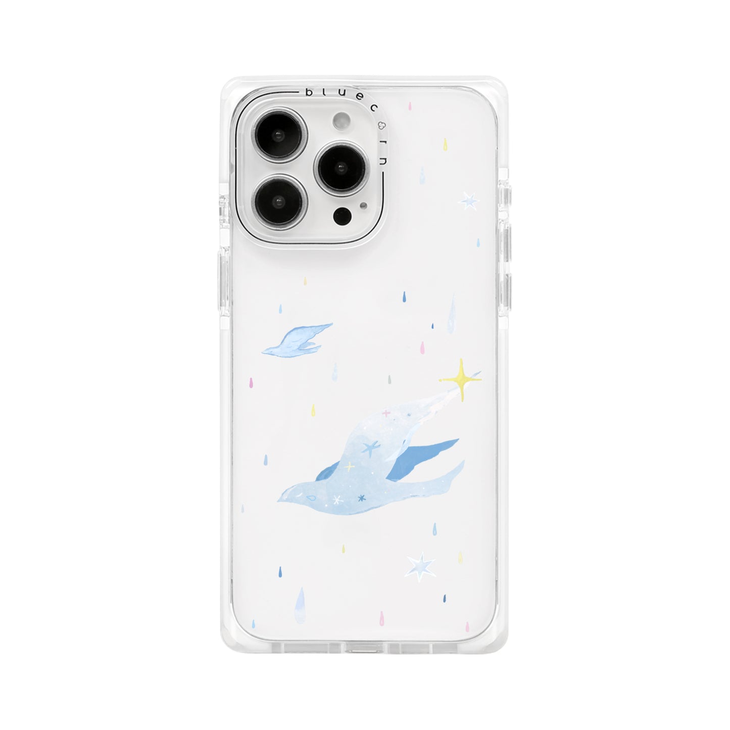 White Dove on Rainy Days