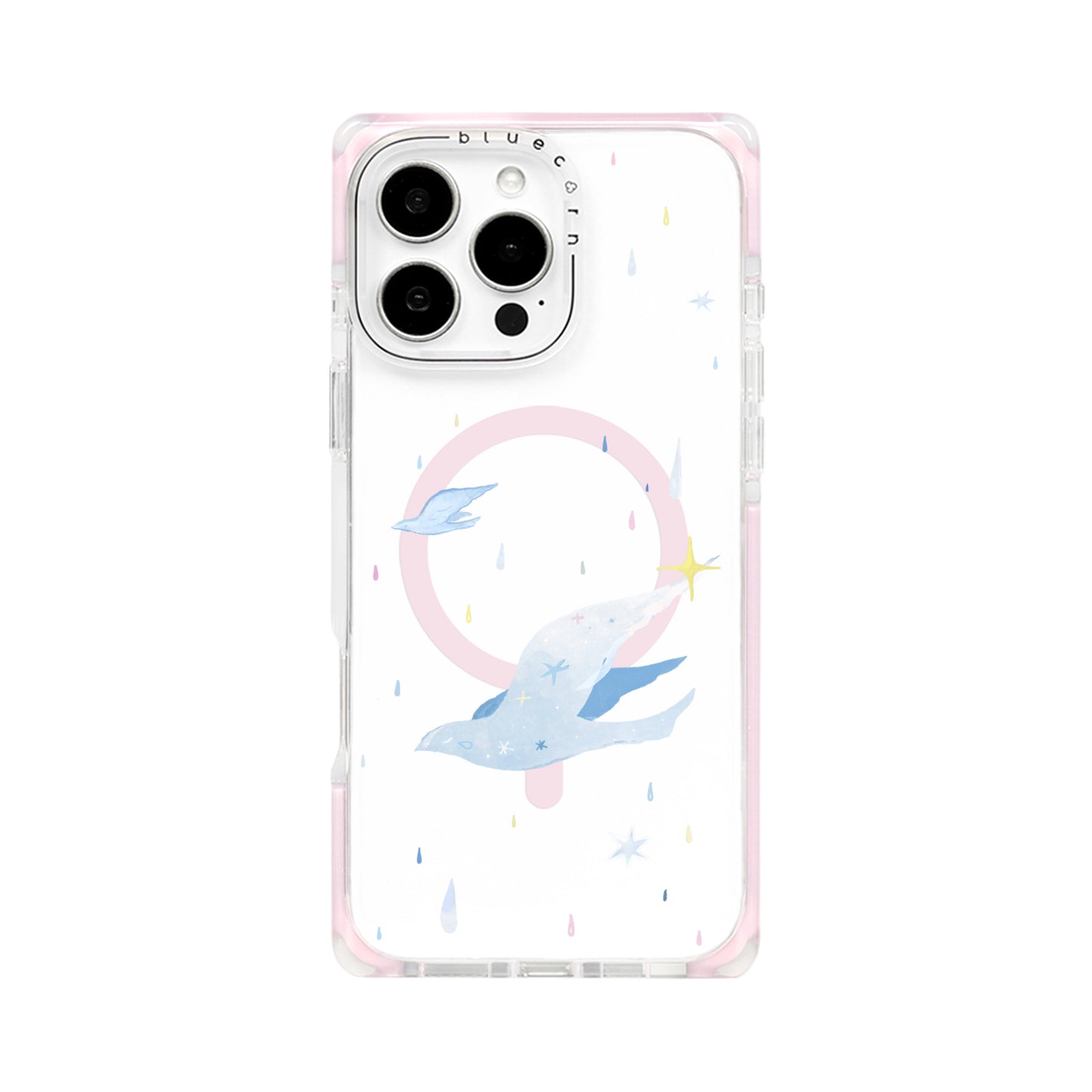 White Dove on Rainy Days