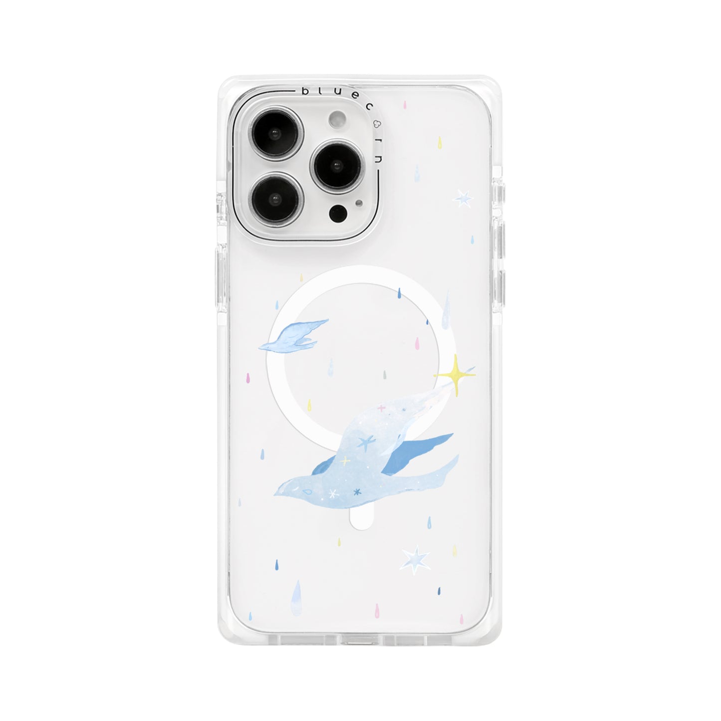 White Dove on Rainy Days